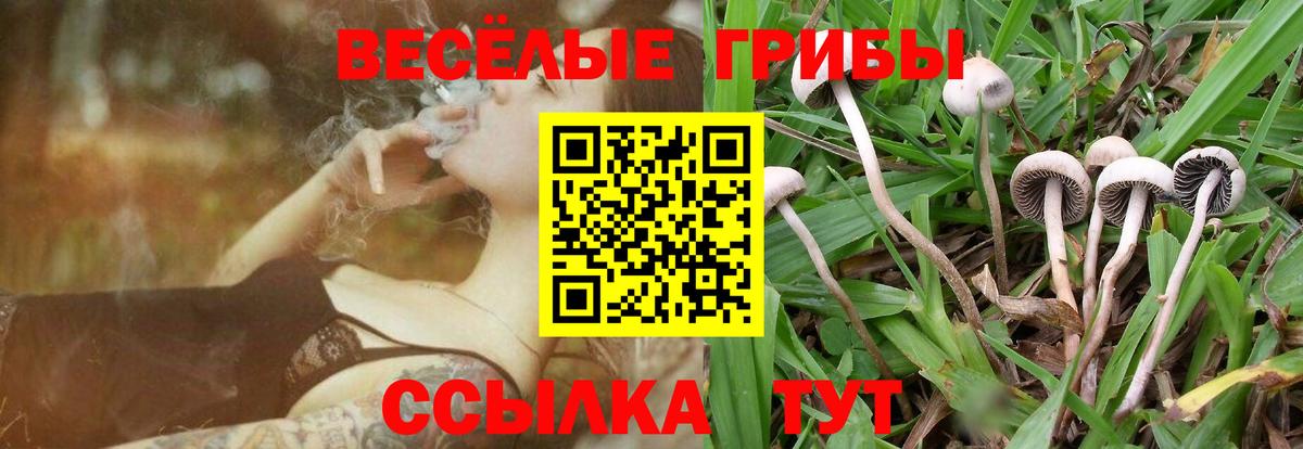 где найти наркотики  Вход с VPN  Калач-на-Дону  Псилоцибиновые грибы ЛСД 